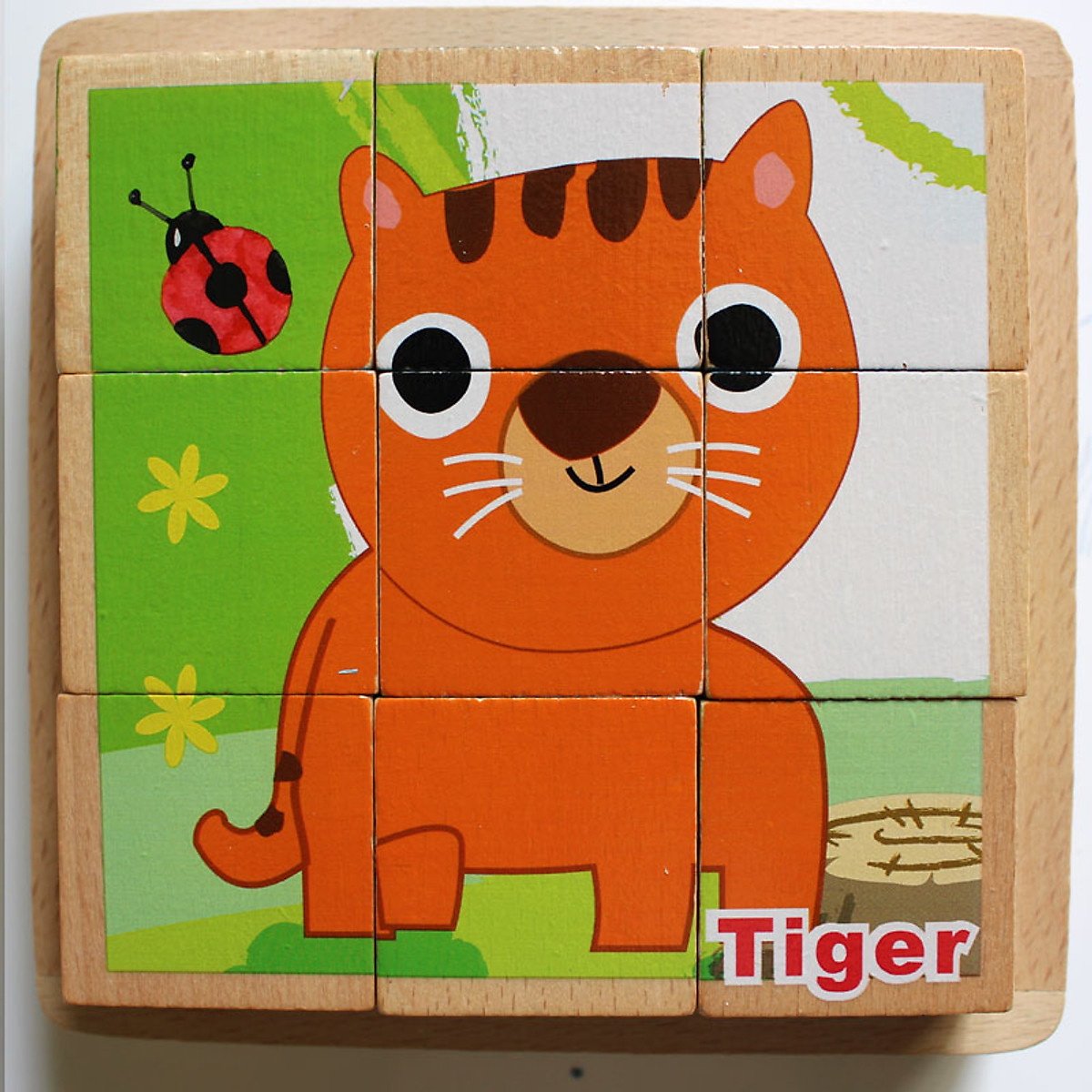 6 chủ đề xếp hình 9 khối lập phương gỗ beech cao cấp | Block puzzle