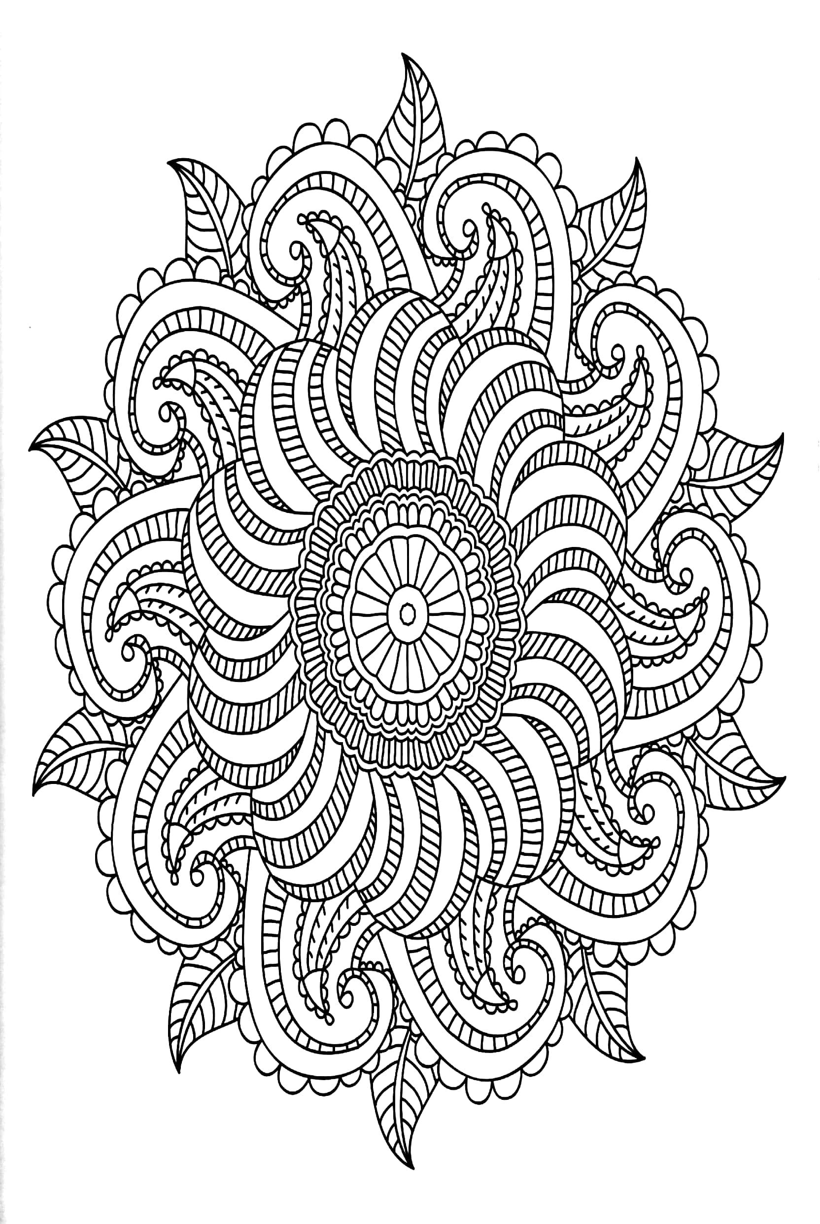 Enchanting Adult Colouring Series - Book 3