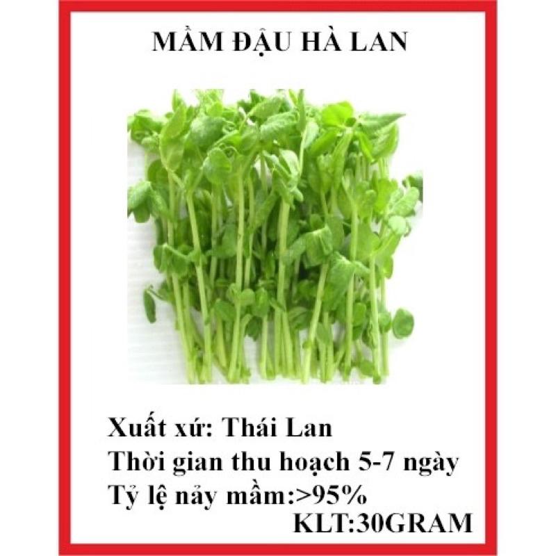 500 gram HẠT GIỐNG MẦM ĐẬU HÀ LAN - Rau mầm
