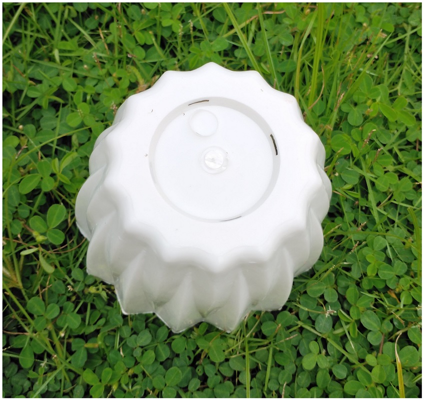 1 Chậu nhựa mini để bàn hình múi khế, KT:12x10 , chậu trồng xương rồng, sen đá, cây cảnh mini để bàn - Màu Trắng