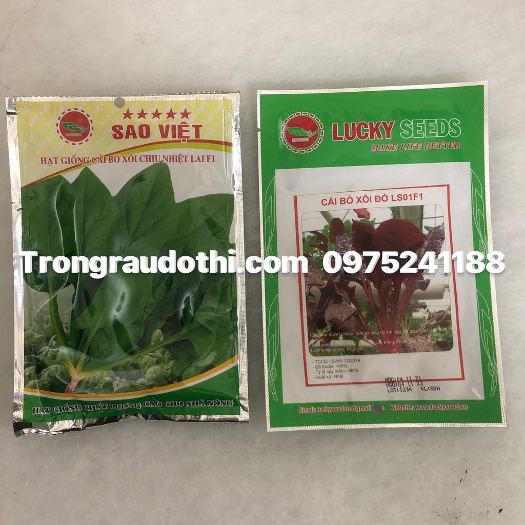Hạt giống cải bó xôi xanh và đỏ
