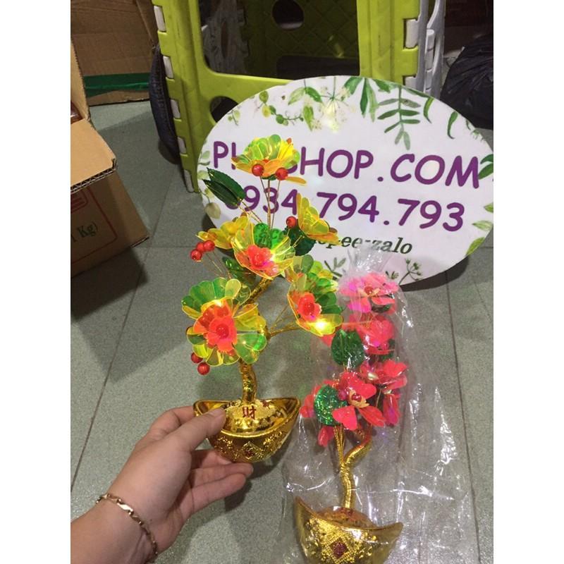 Cây kim tiền trang trí hoa lưu ly 30cm phk shop