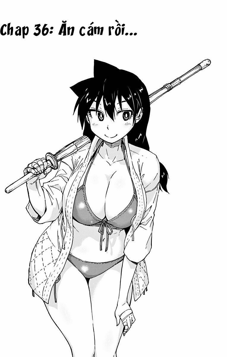 amano megumi wa suki darake! chapter 36 1