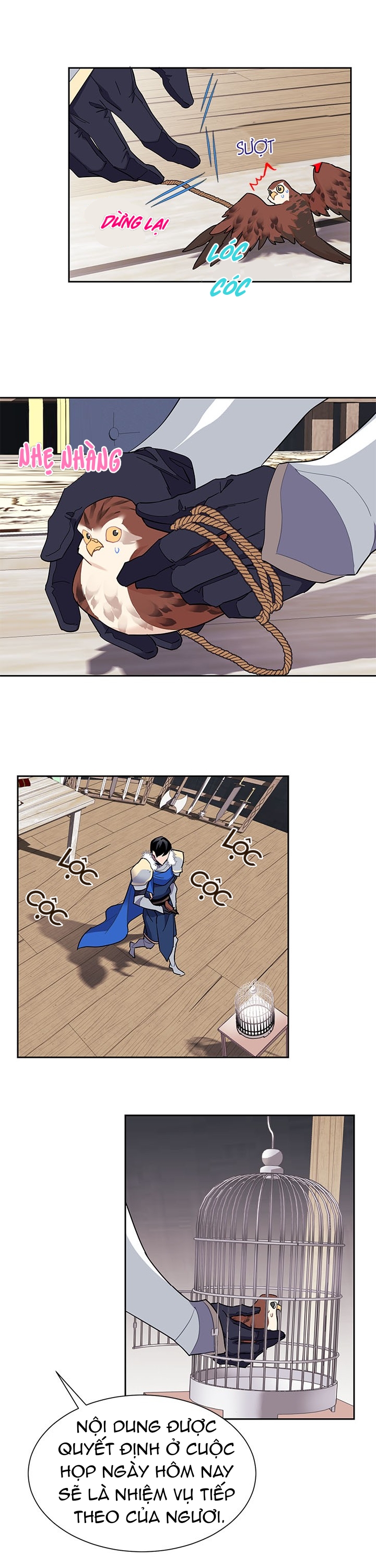 công chúa của loài chim chapter 9 28