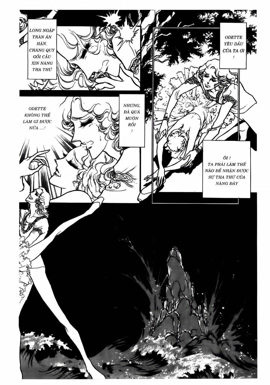 swan - vũ khúc thiên nga chapter 43 13