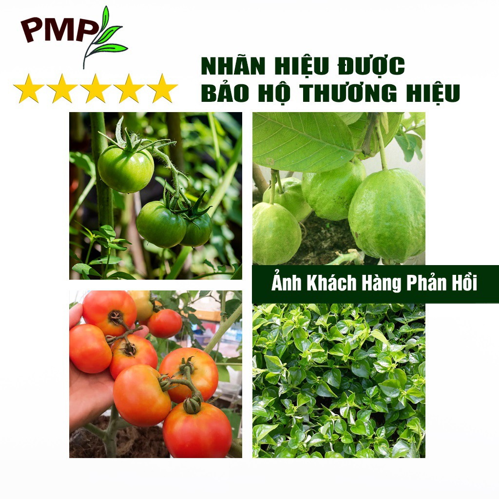 Phân tan chậm vi sinh siêu lân PMP bón cho hoa hồng, cây cảnh, rau sạch dạng viên nén 2kg