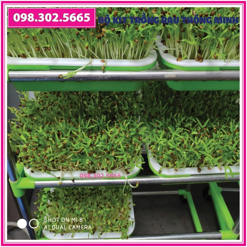 Bộ Kit trồng rau mầm 5 khay, 5 tầng bao gồm: Giá đỡ có 4 bánh + 5 Khay trồng + 500g Hạt giống + Vòi xịt nước.
