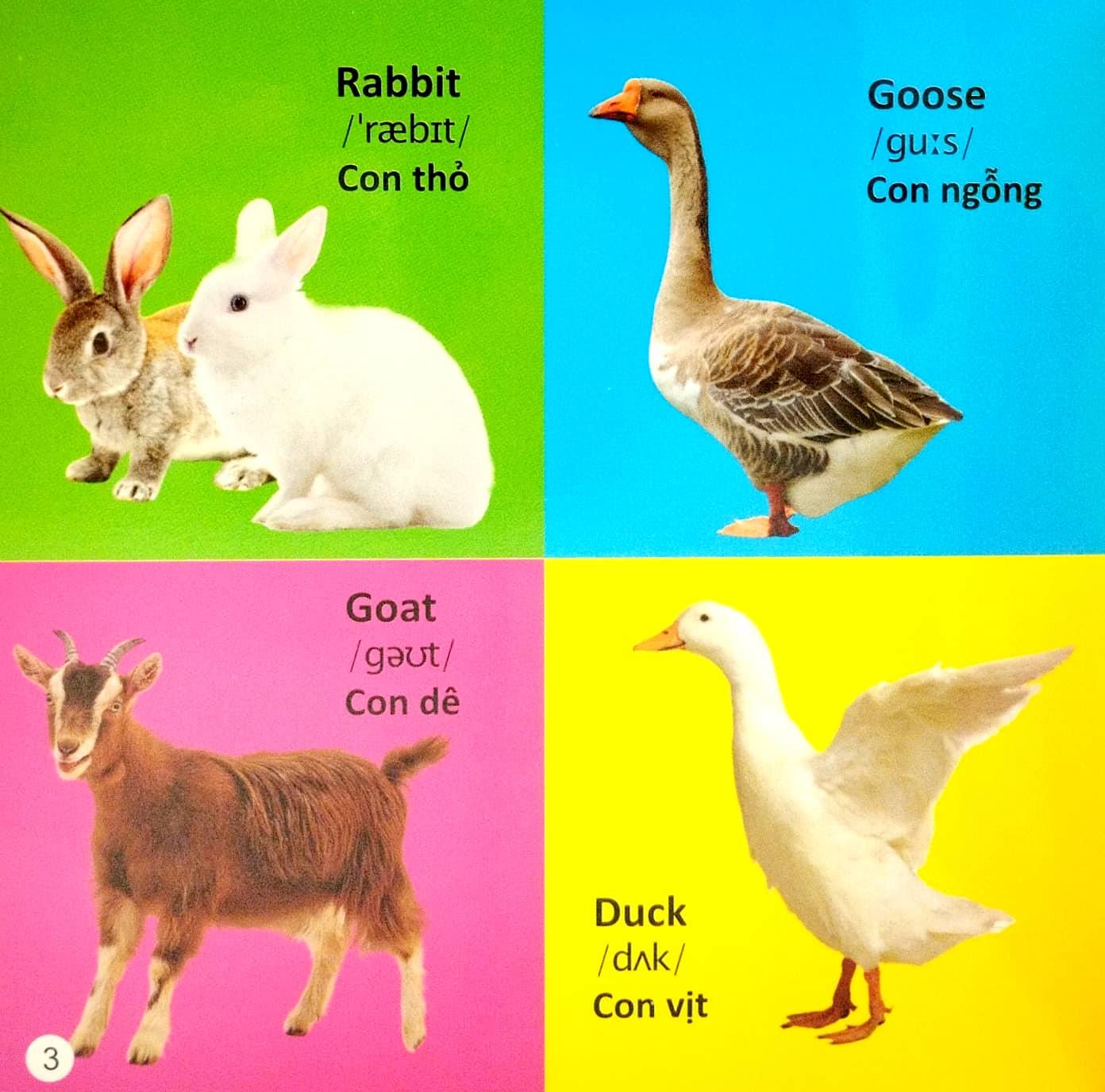 101 First Words: Animals - 101 Từ Đầu Tiên: Động Vật