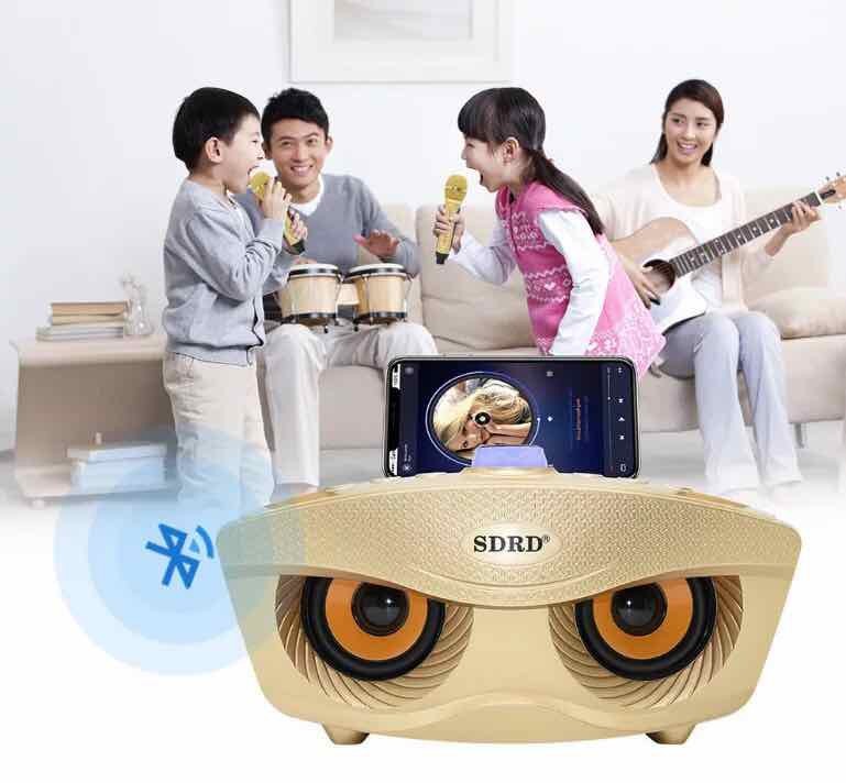 Loa Bluetooth Karaoke Mắt Cú SD-306 Kèm 2 Micro Cực Hay