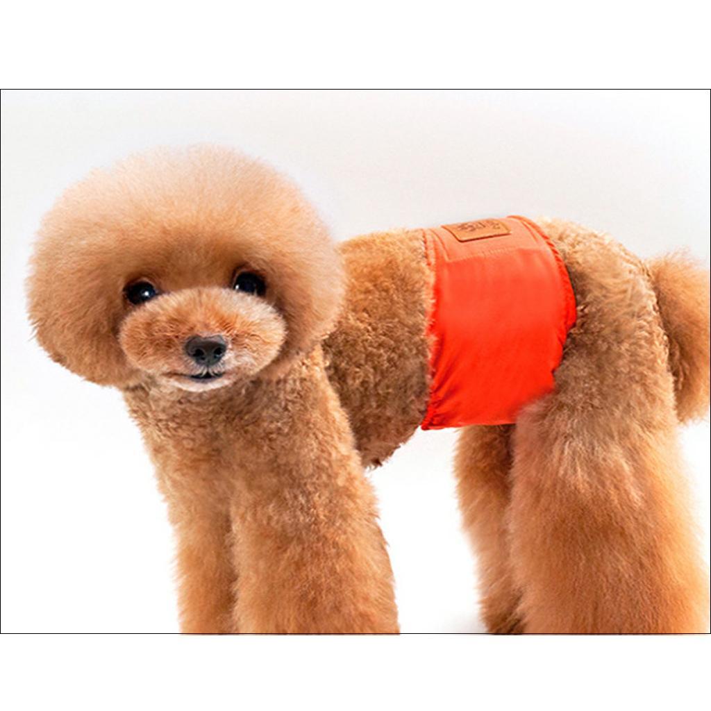 Male Politeness Belt Physiology Pants Pet Dog Diaper