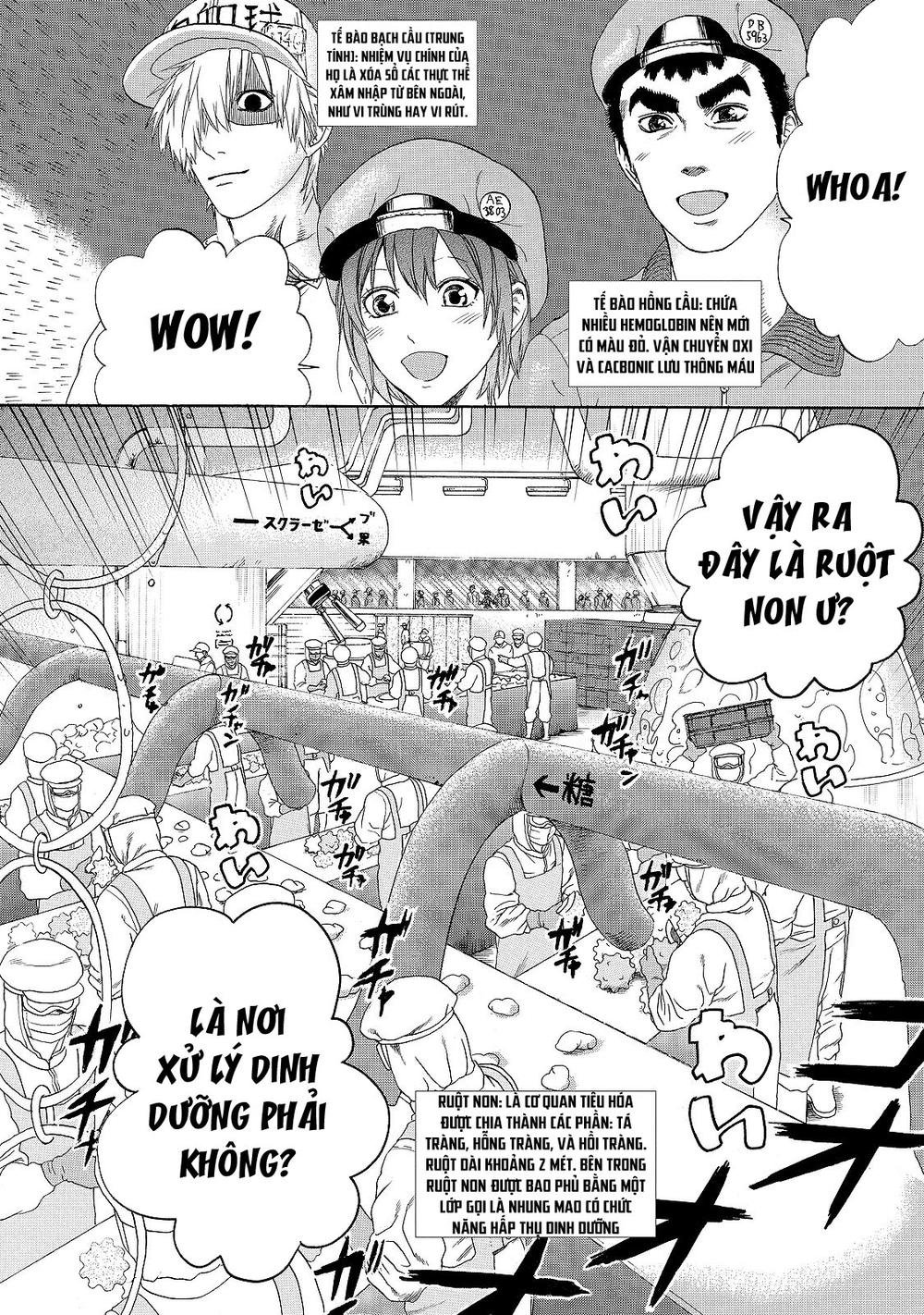hataraku saibou! chapter 19 2