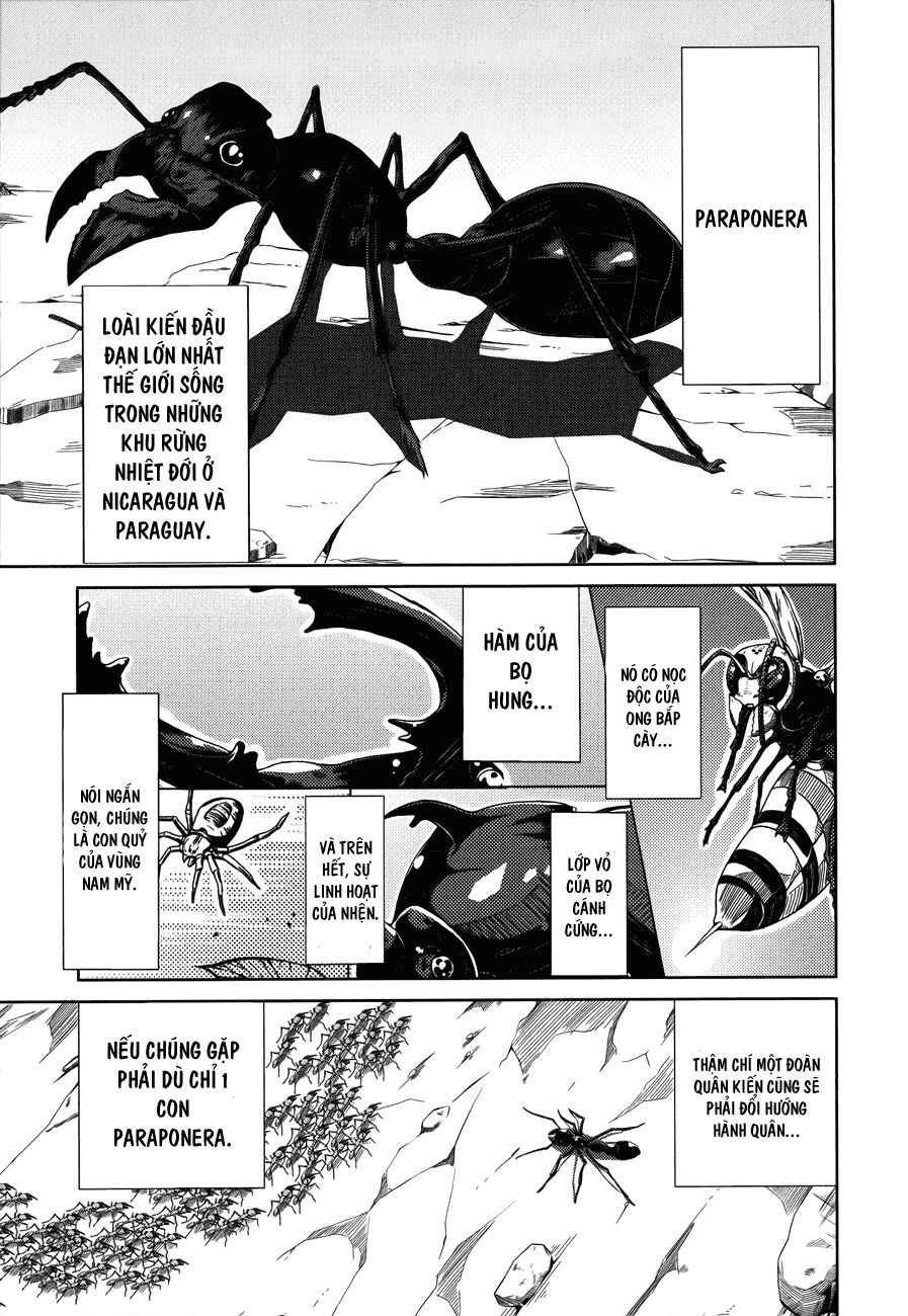 caterpillar chapter 4 3