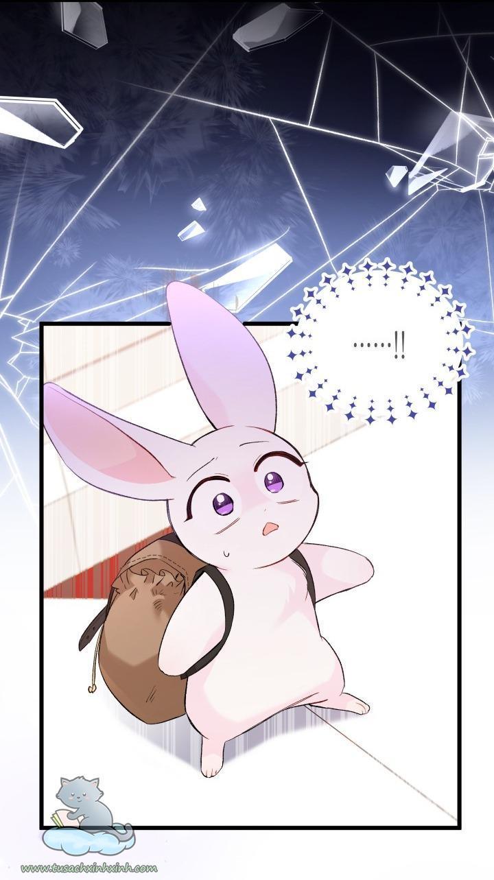 quan hệ cộng sinh giữa báo đen và thỏ trắng chapter 59 46