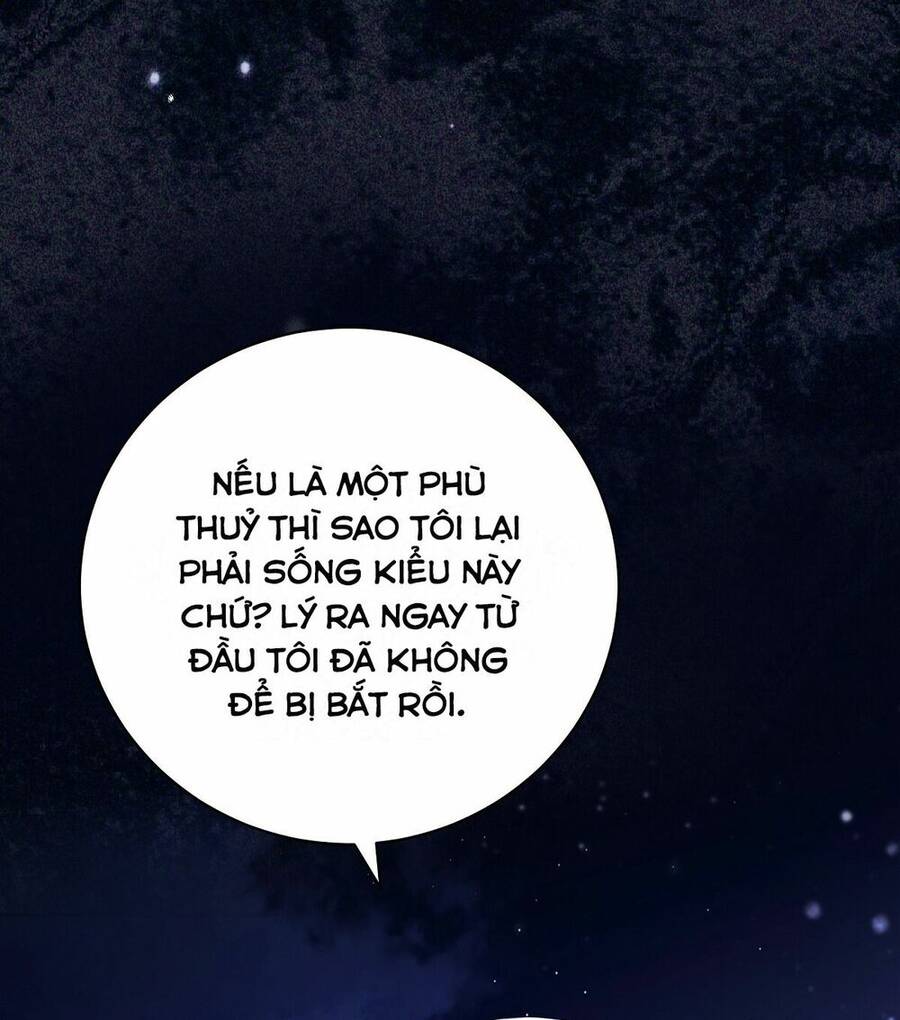 lời nói dối vĩnh cửu của người chapter 2 43