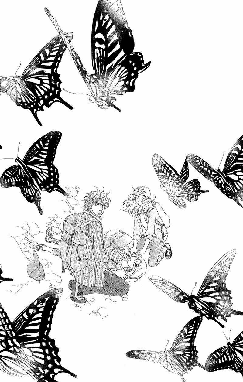 papillon hana to chou chapter 40 14