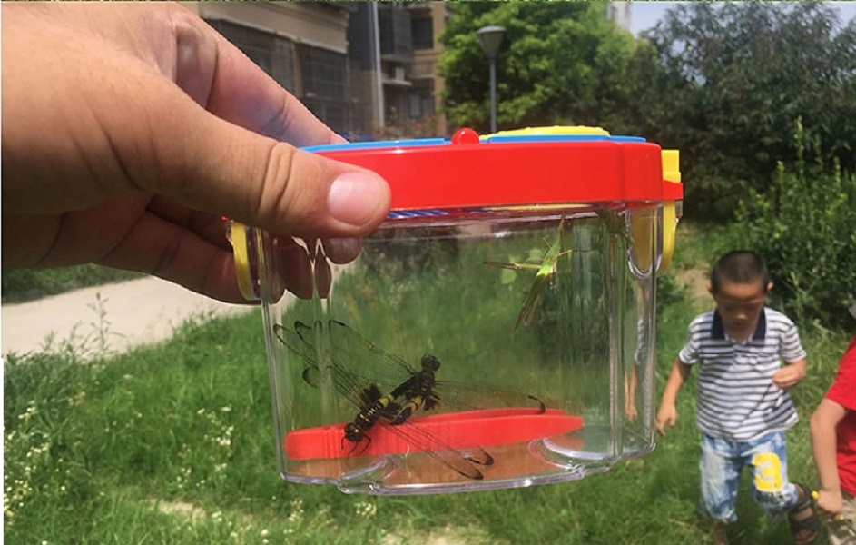 Hộp kính lúp mini siêu nét khám phá thế giới côn trùng dành cho bé đa năng VERSION2 (Tặng kèm đèn pin bóp tay -giao màu ngẫu nhiên)