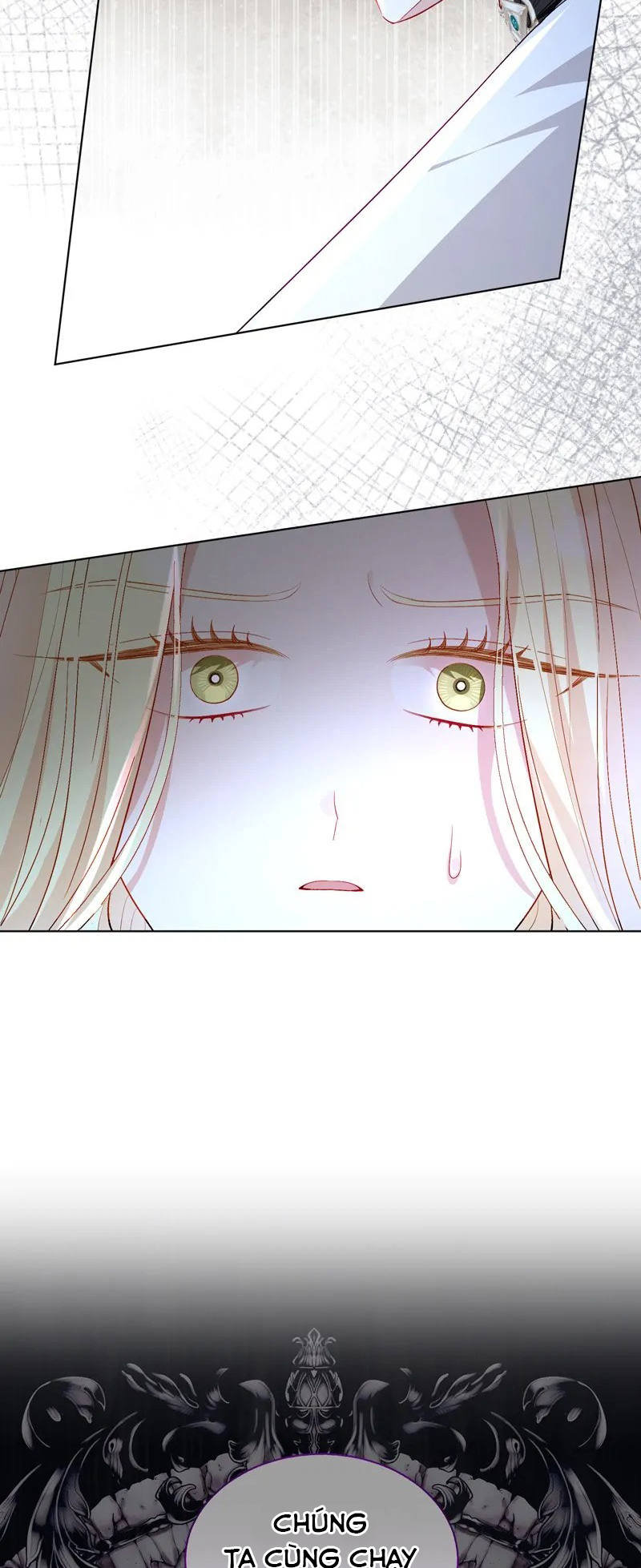 papa của tôi đã xuất hiện chapter 54 50