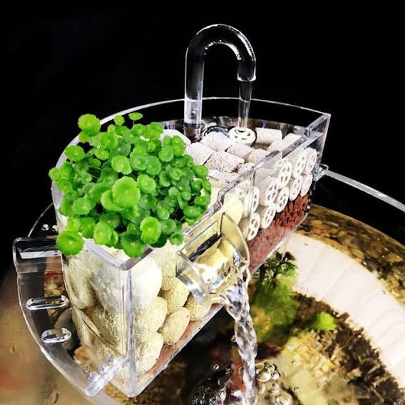 Hộp lọc acrylic cho bể cá tròn