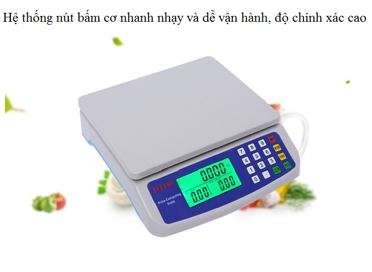 Cân Điện Tử DT-580 Trọng Tải 30kg/1g Có Thể Tính Tiền