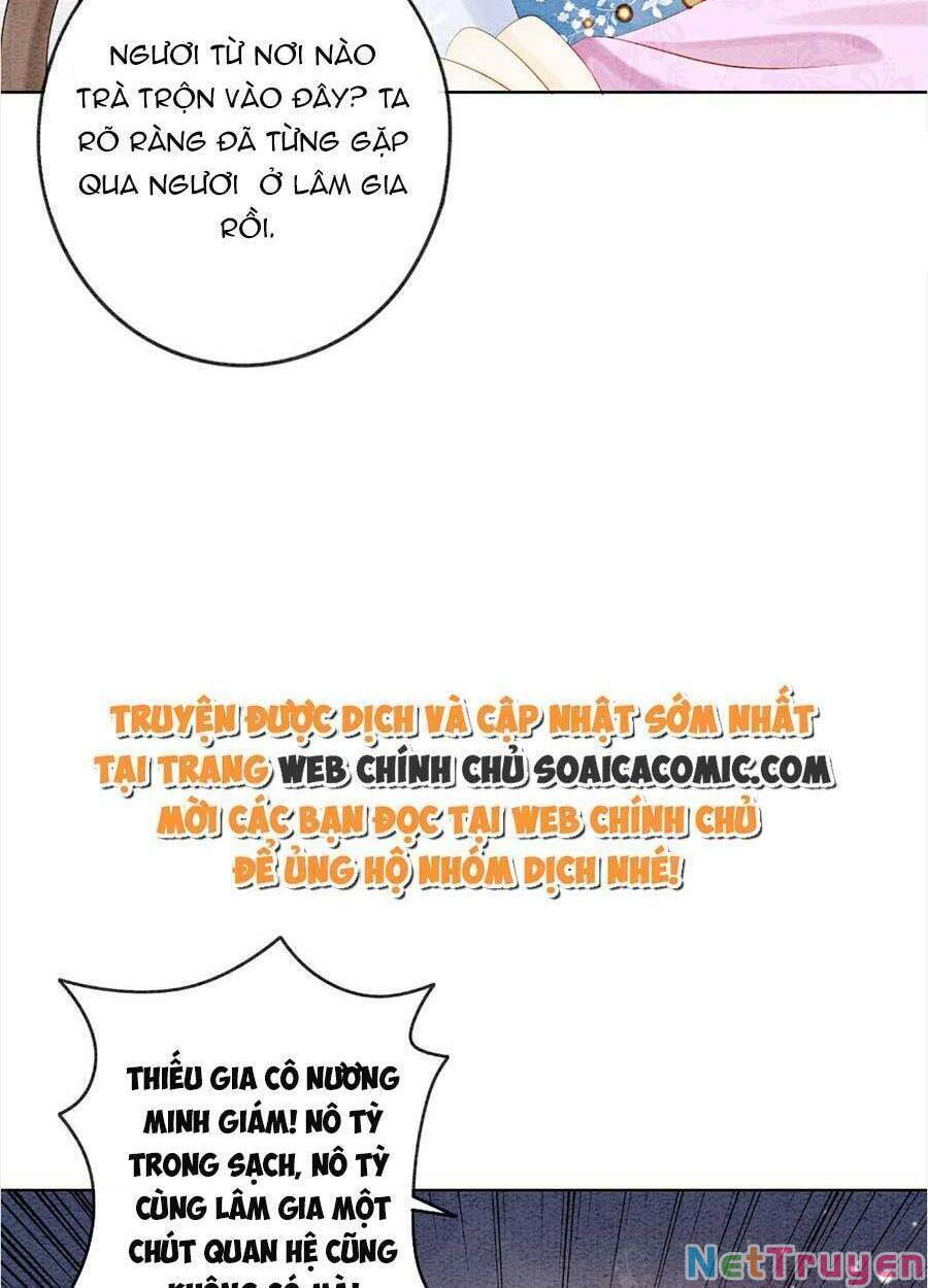 bắt đầu hủy hôn để công lược vương gia chapter 49 28