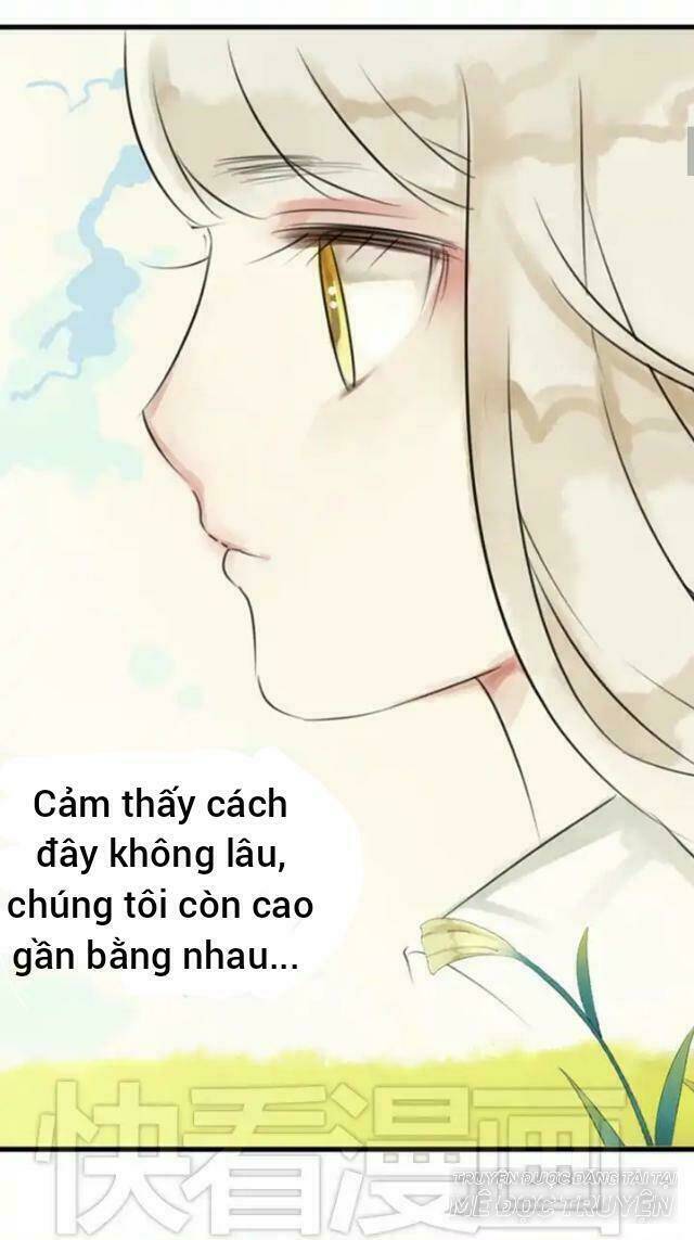 hoàng tử cải trang chú hề chapter 24 6