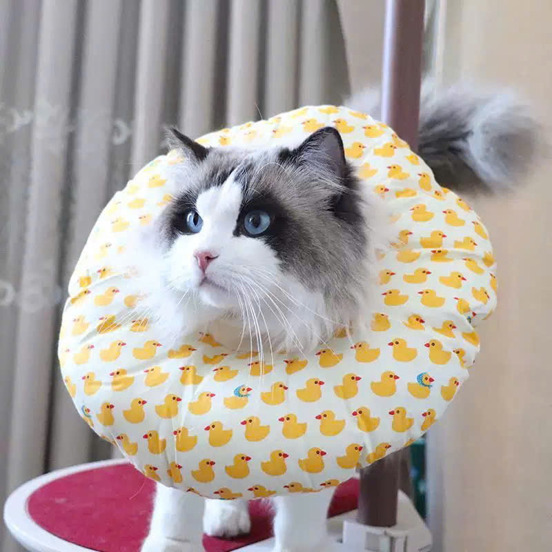 VÒNG CỔ THÚ CƯNG VÒNG CỔ LOA CHỐNG LIẾM CHO THÚ CƯNG TỪ 0.1-8KG DÀNH CHO CHÓ MÈO VÀ THỎ