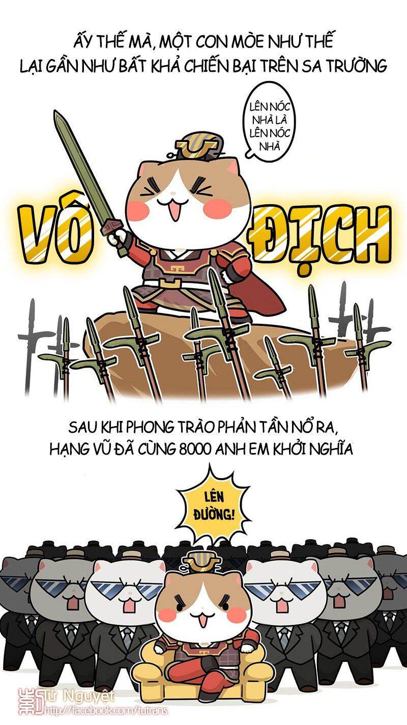 nếu lịch sử là một bầy mèo chapter 29 17