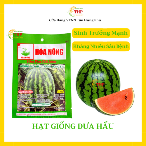 Hạt giống Dưa Hấu Thành Long F1 | Hạt giống | gói 0.5gr