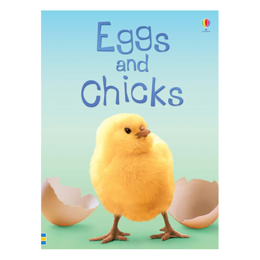 Usborne Eggs and Chicks