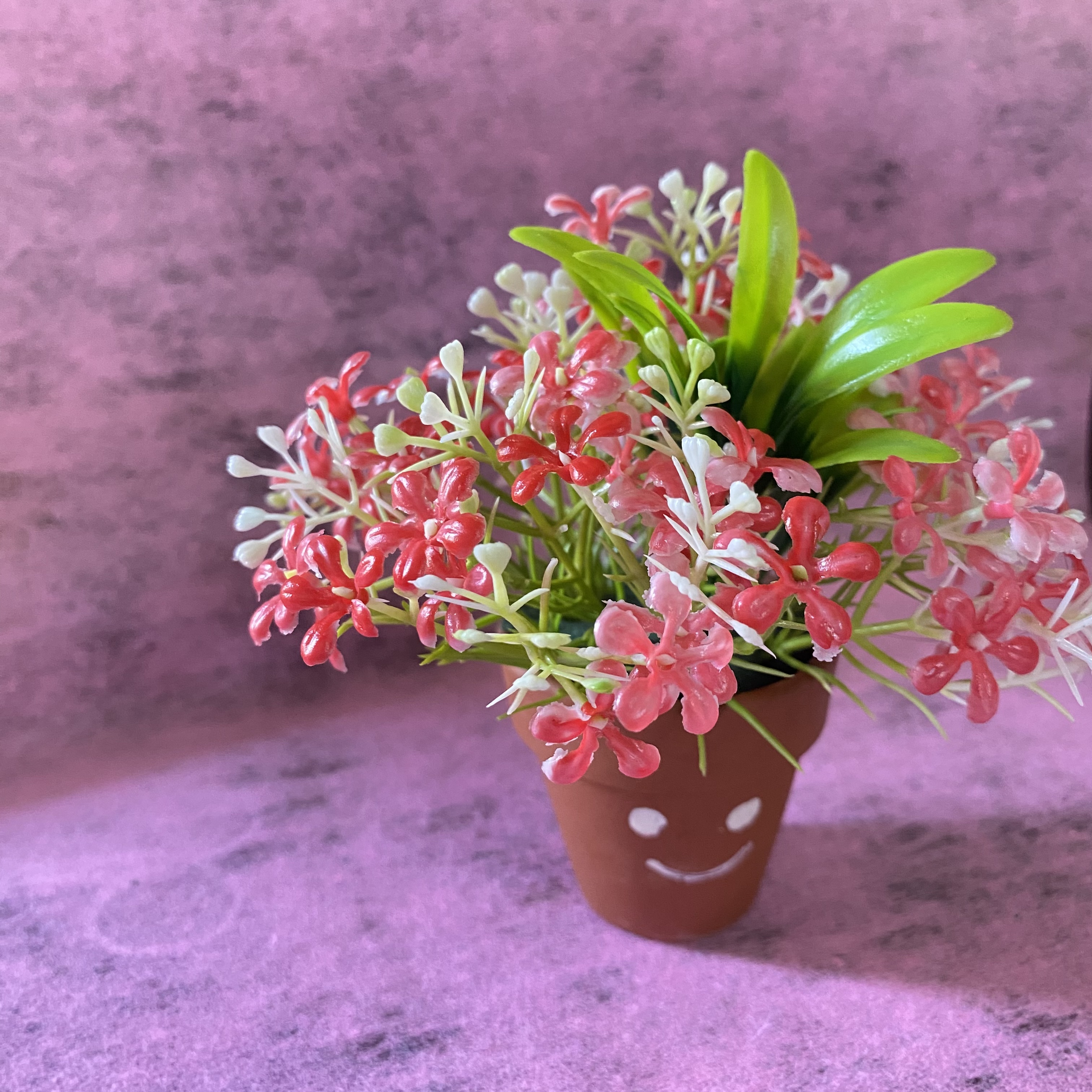 Chậu hoa handmade mini kèm chậu -8cm,12cm