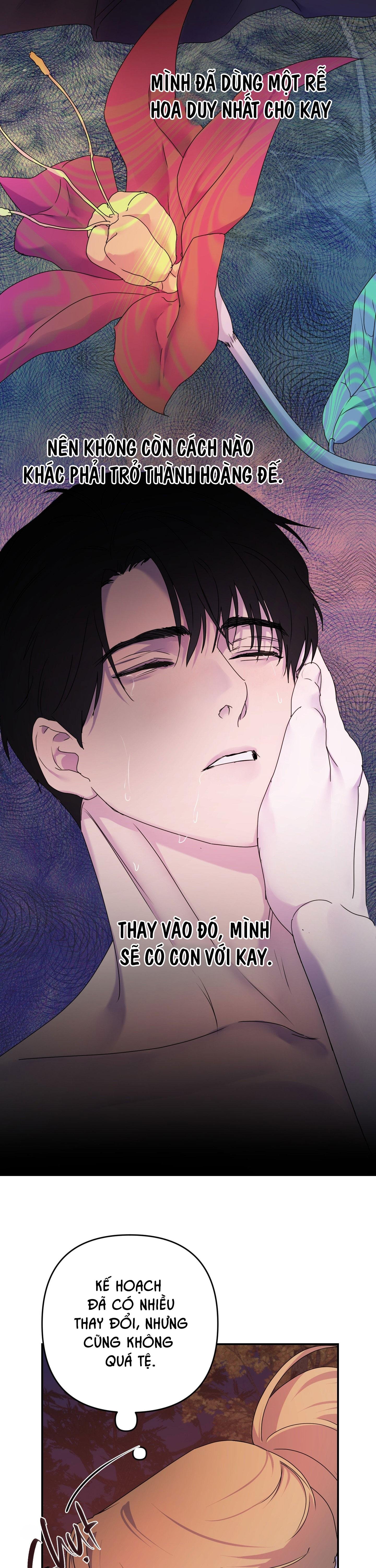 đóa hoa của alosha chapter 31 23