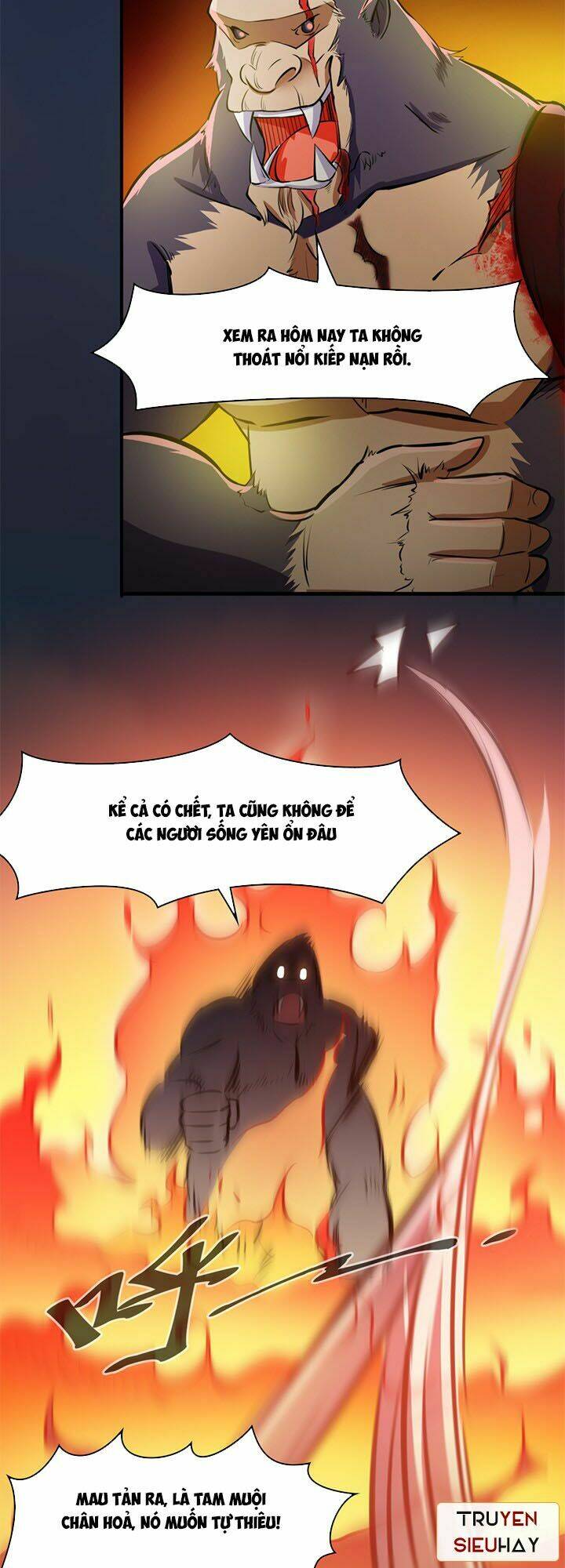 lâm phi truyện chapter 26 24