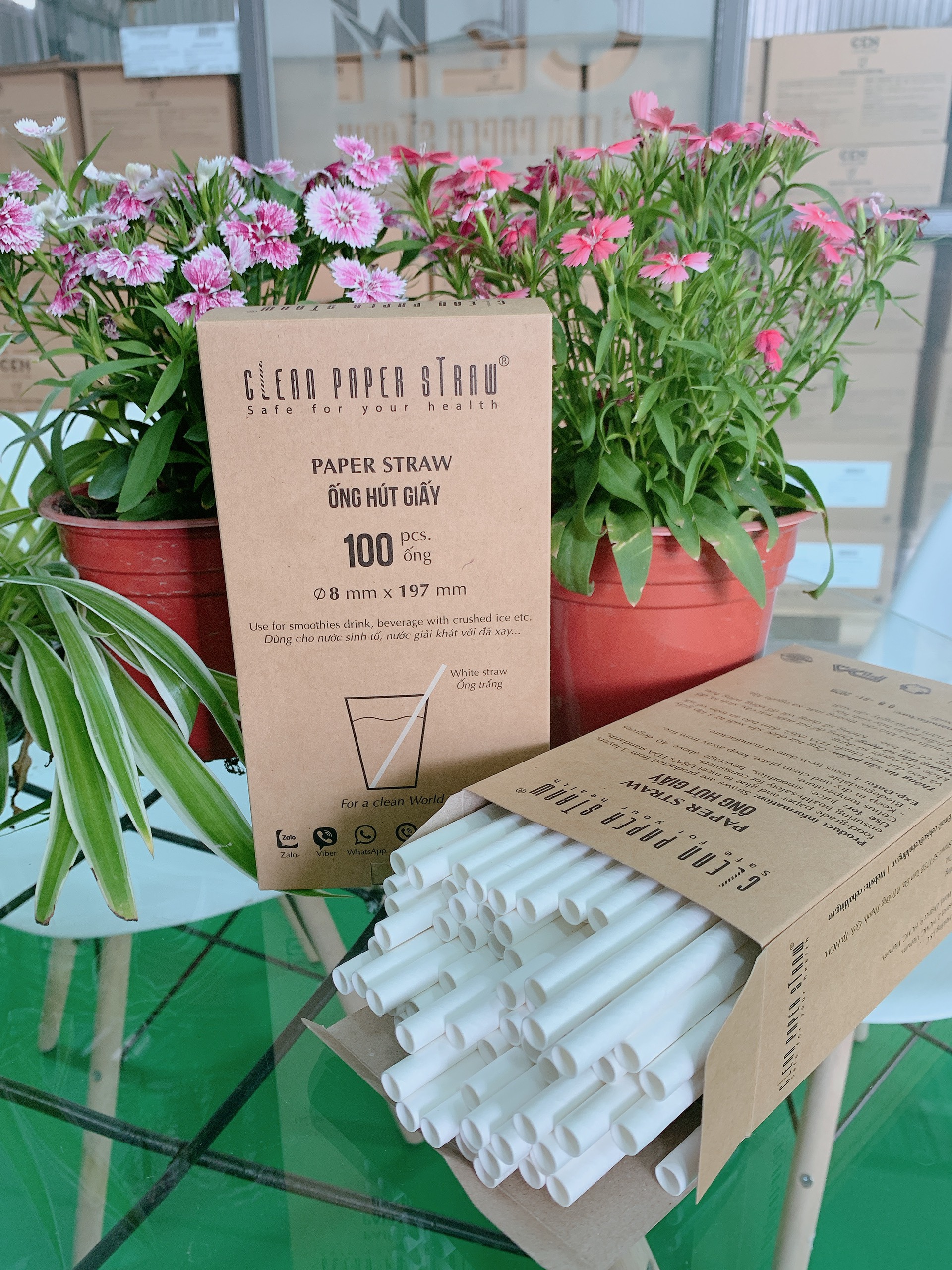 Ống hút giấy cao cấp 8mm x 197mm Clean Paper Straw màu trắng kích thước hộp 100 ống