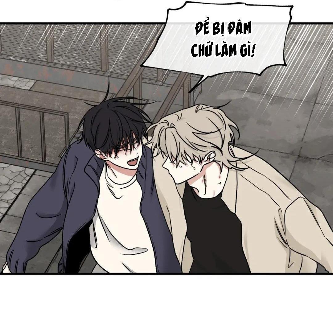 thủy triều thấp lúc chạng vạng chapter 95 23