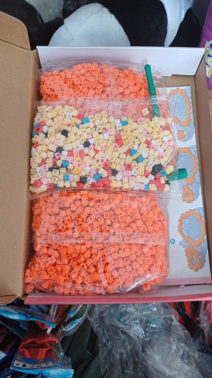 Đồ chơi lắp  ráp rồng lửa trong pokemon