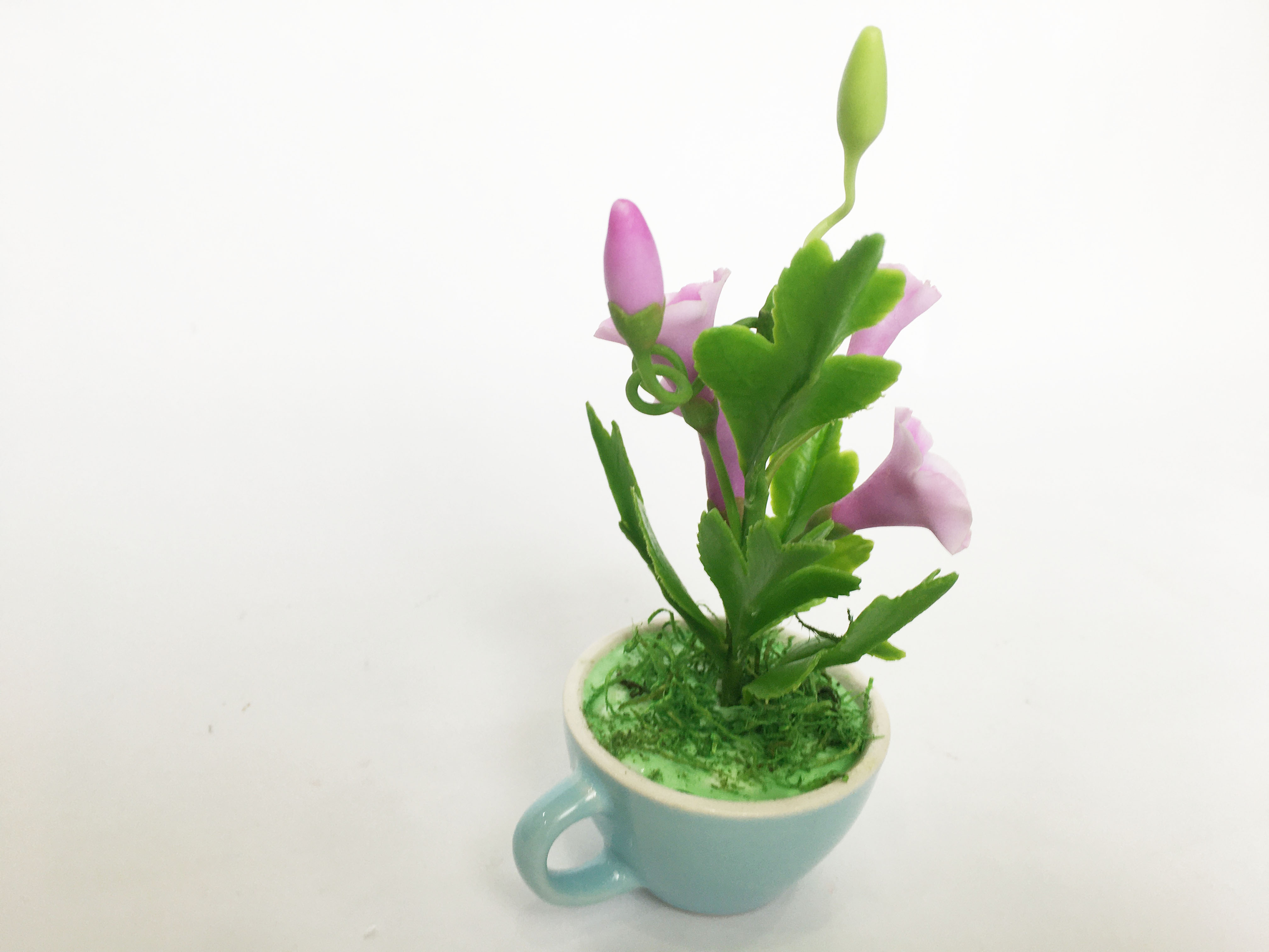 Chậu hoa đất sét mini- Bụi bìm bịp/bìm bìm trong cốc - Quà tặng trang trí handmade
