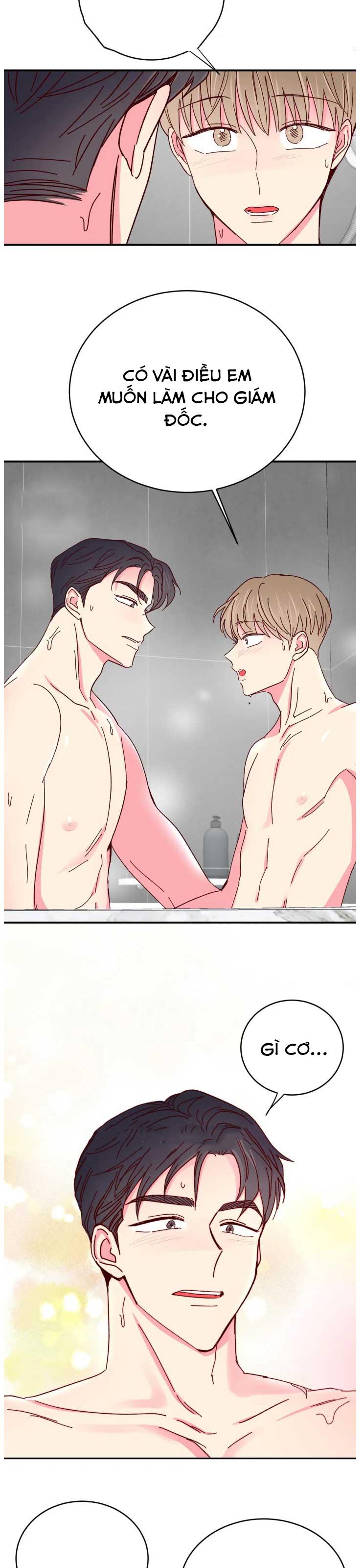 món tráng miệng của sếp tổng chapter 70 17