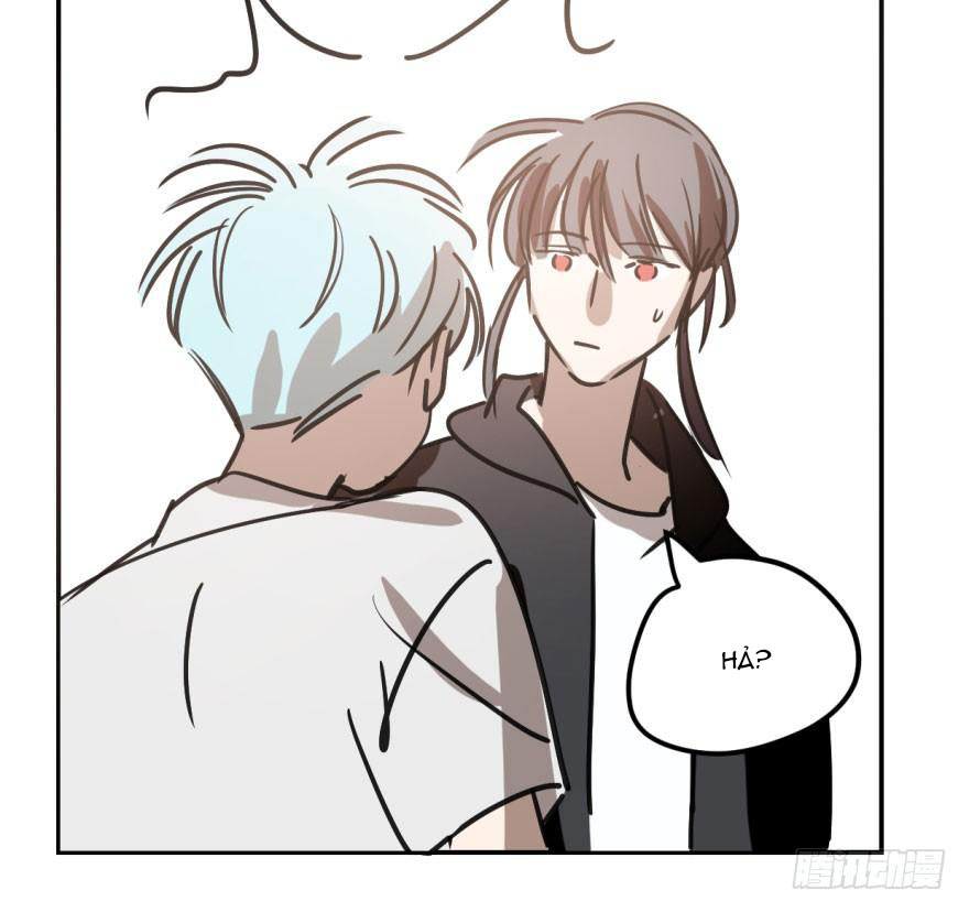 bắt lấy ngao ngao chapter 40 43