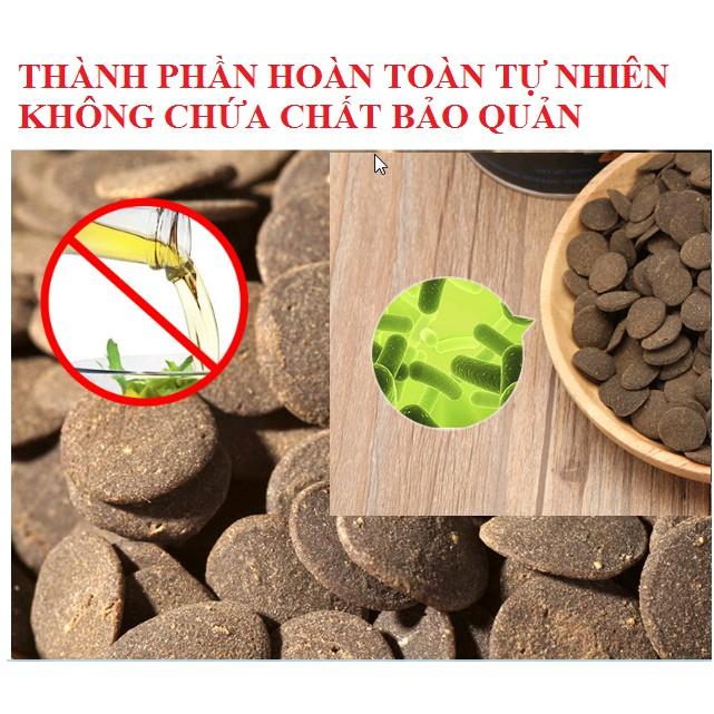 THỨC ĂN CHUYÊN DỤNG CHO CÁ PLECO "YEE" - Cám cá dinh dưỡng và giàu tảo cho cá tầng đáy- Cám cá chuột - shopleo