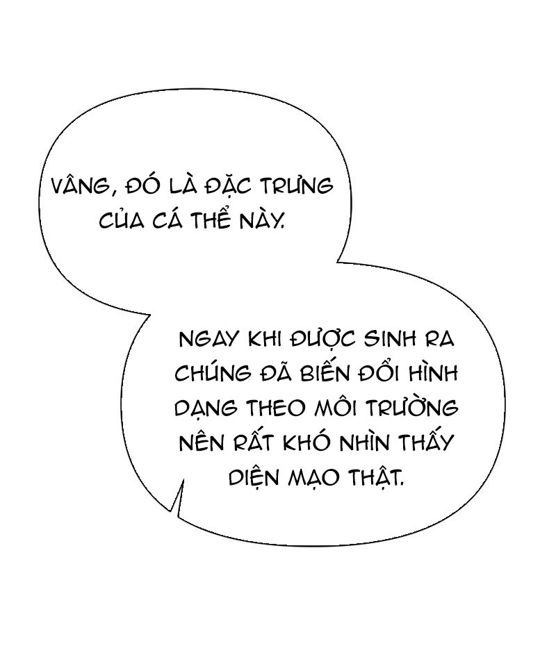 tiên cá trên bờ chapter 3 25