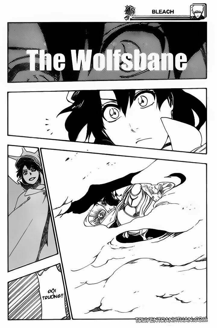 thần chết ichigo chapter 556 6