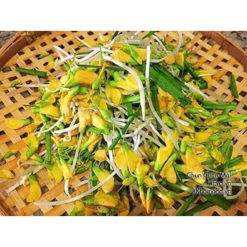 Hạt giống bông điên điển tứ quý Trang Nông gói 1g rất dễ trồng