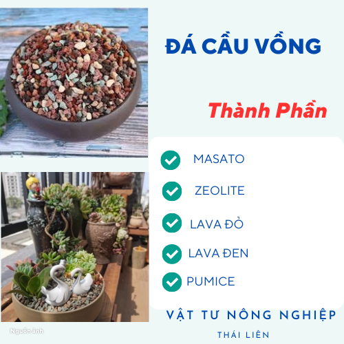 Đá Cầu Vồng- Trồng Sen Đá - Đá Mix Trộn Giá Thể, Rãi Mặt Chậu