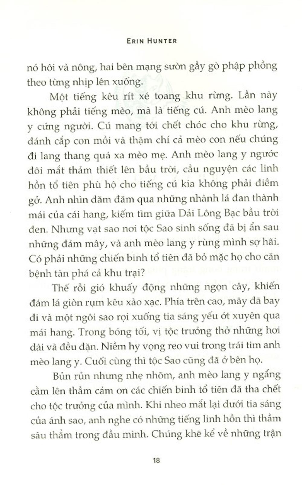 Sách Mèo Chiến Binh - Bão Nổi