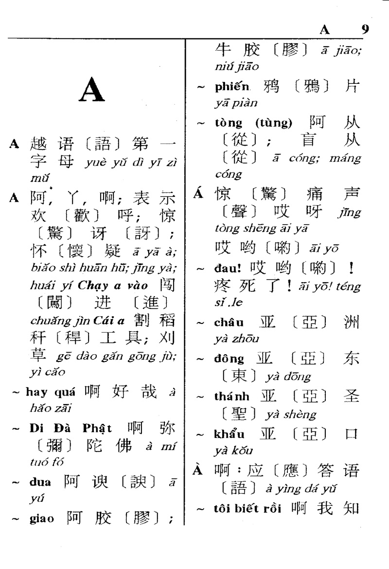 Từ Điển Việt Hoa Thông Dụng