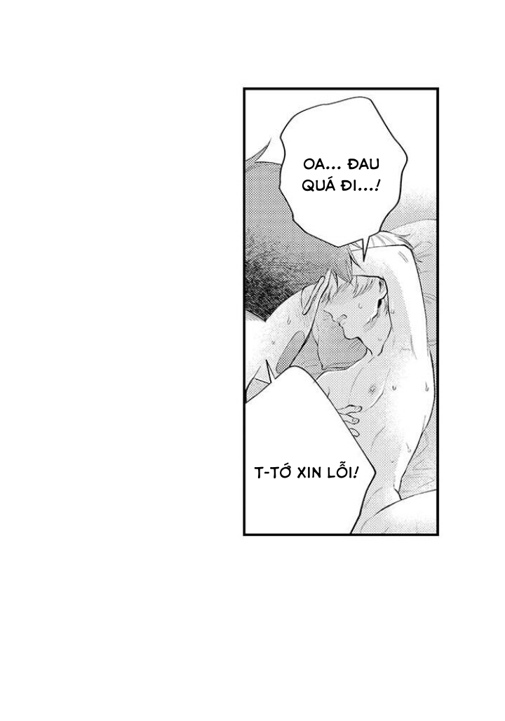 đêm đầu tiên với người yêu của tôi chapter 10.1 14