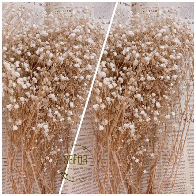 Hoa baby ướp ️️ Gypsophila hoa khô trang trí phòng ngủ, làm đồ handmade