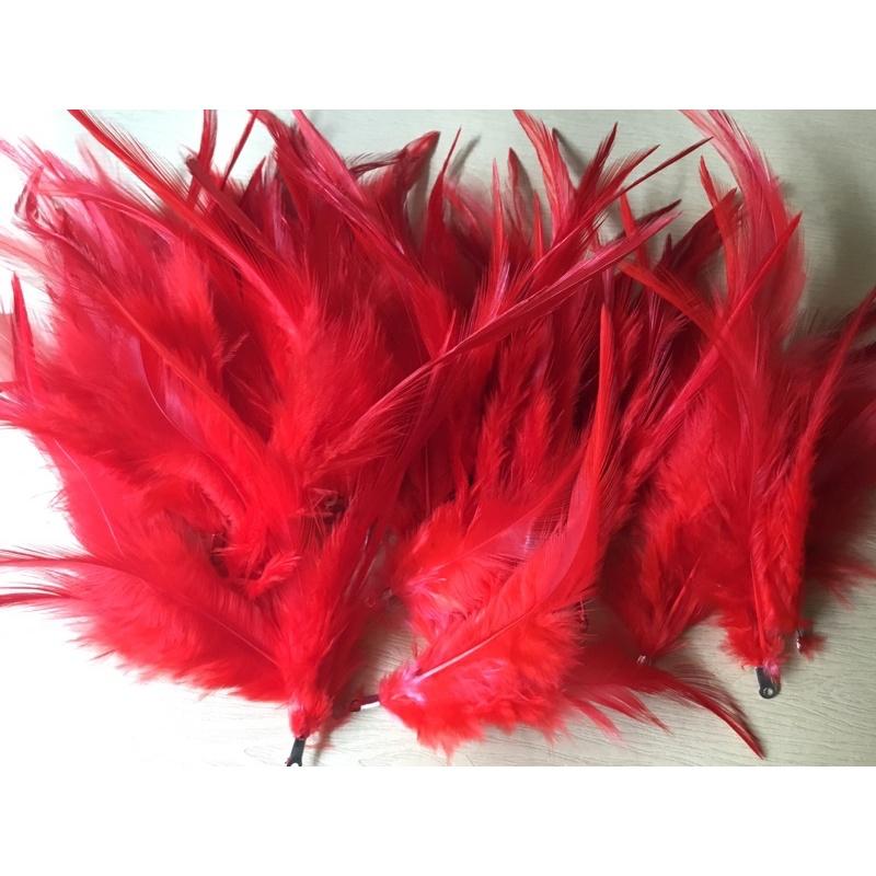 Lông gà màu đỏ đẹp dùng trang trí đa dụng