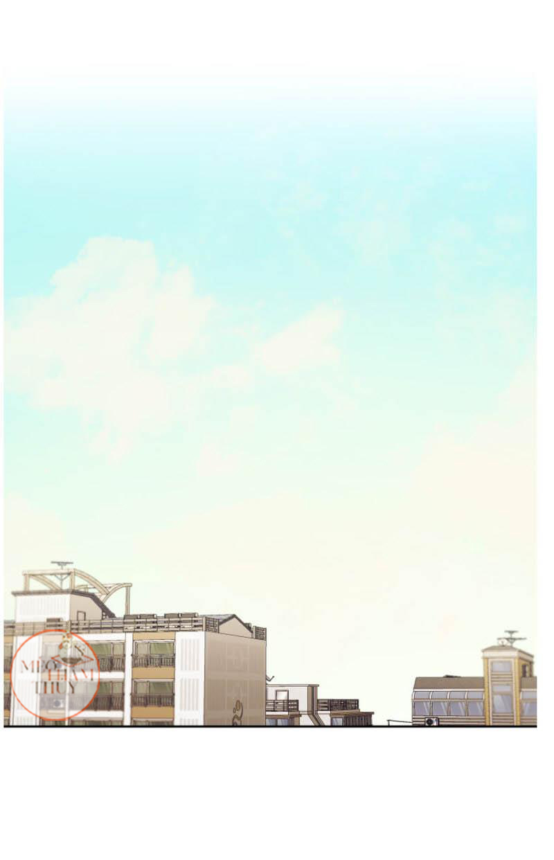 máu và tình yêu chapter 66 2