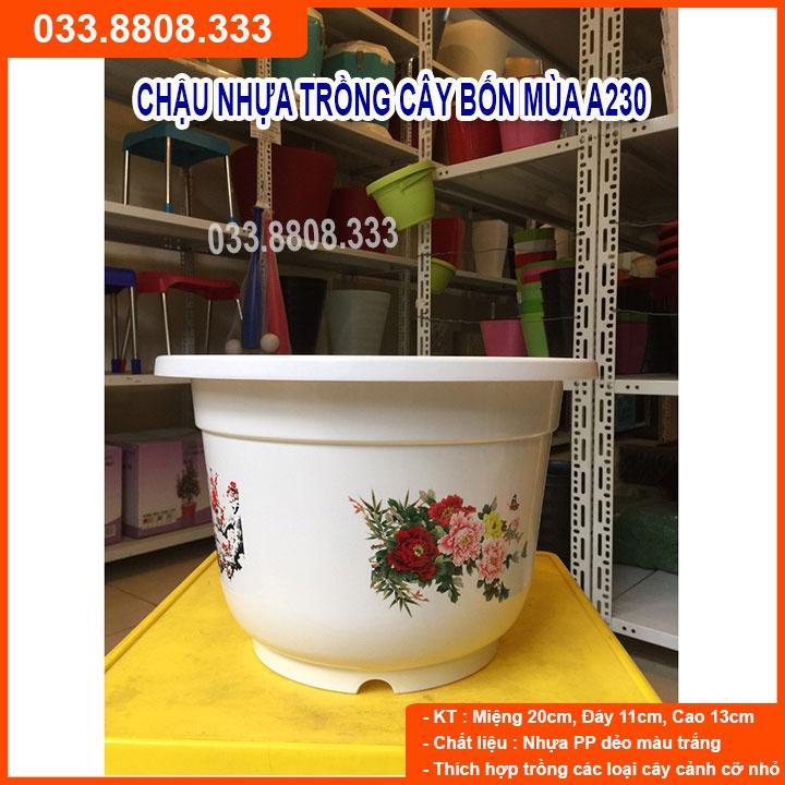 10 Chậu Nhựa Bốn Mùa A250 - Chậu Đẹp Bền